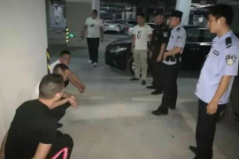 陇县企业清欠服务